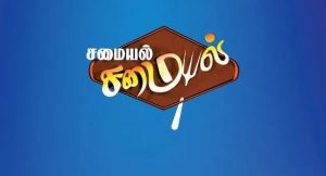 Samayal Samayal Serial Full Episodes Online