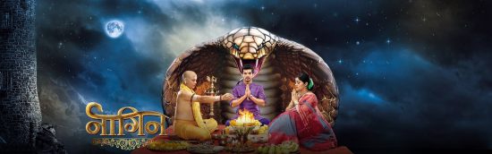 Naagin On Colors TV Cast