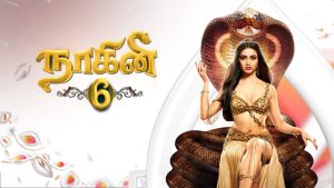 Naagini Season 6