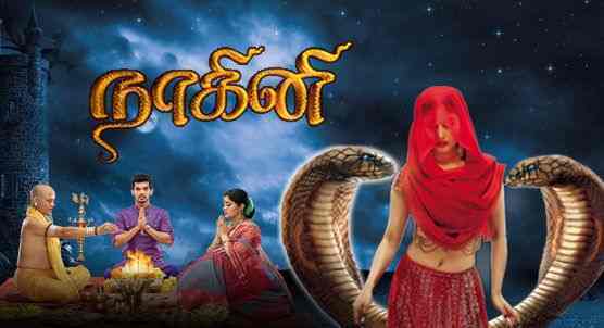 Nagini Serial Sun TV