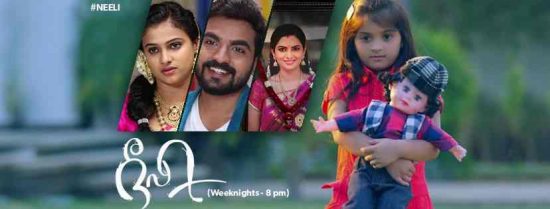 Vijay Serial Neeli Story