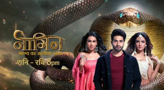 naagin serial s04