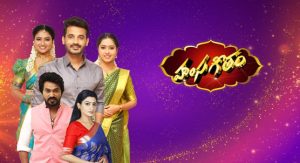 Hamsageetham Serial Gemini TV