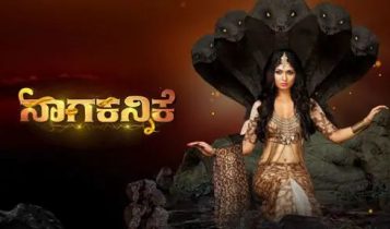 naagin karnataka remake