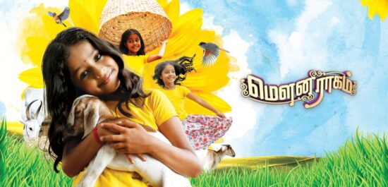 mouna ragam vijay tv serial online