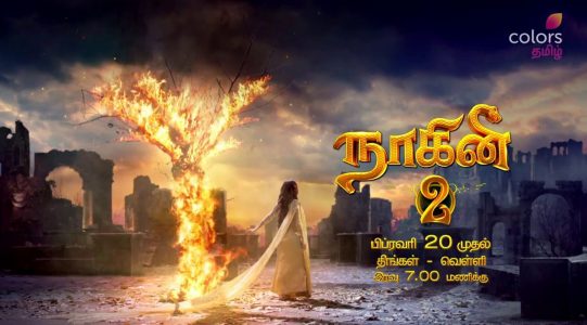 colors tamil season 2 naagini