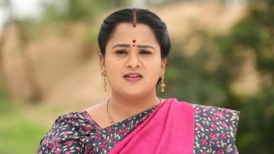 Ashwini Radhakrishna serial actress