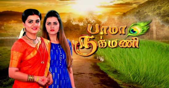 Bhama Rukmani Sun TV Serial