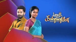 Bharathi kannamma Episodes Online