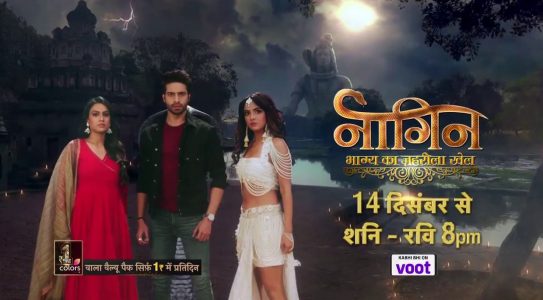 naagin 4 colors tv