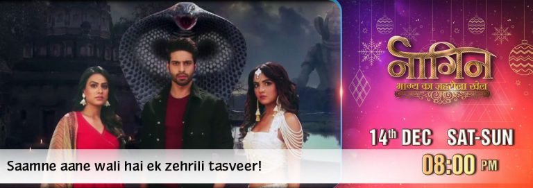 telecast time of naagin s4