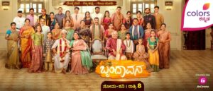 Brundavana Serial Cast