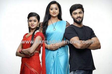 star cast of udaya tv amnoru serial