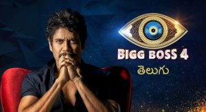 Online Voting Guide BB4 Telugu