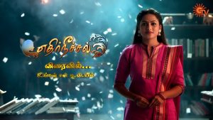 Ethirneechal Serial Sun TV