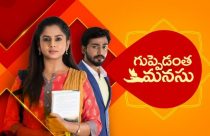 Guppedantha Manasu Serial Hotstar App