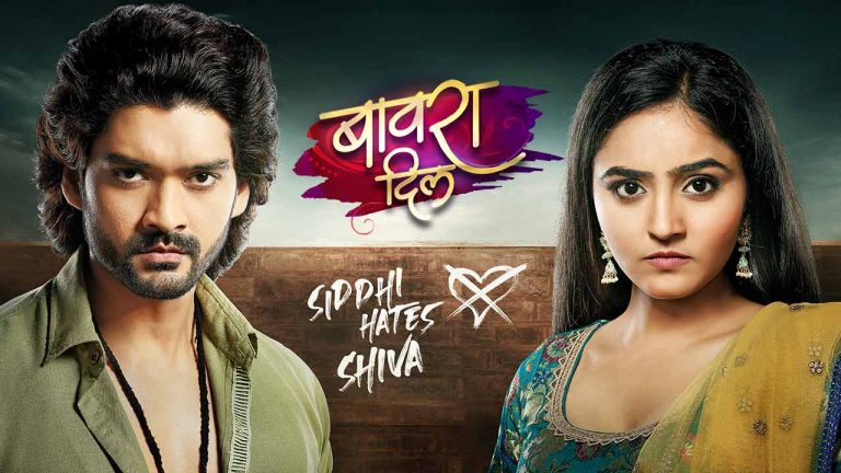 Bawara Dil Serial Info