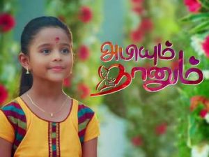 Abhiyum Nanum Sun TV Serial