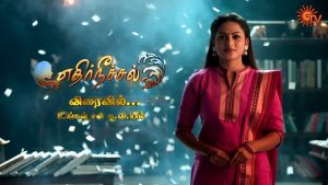 Ethirneechal Serial