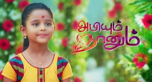 Abhiyum Nanum Sun TV Serial