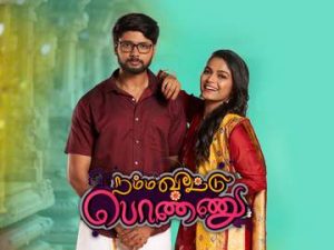 Namma Veetu Ponnu Vijay Schedule