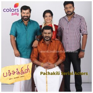 Pachakili Serial Actors