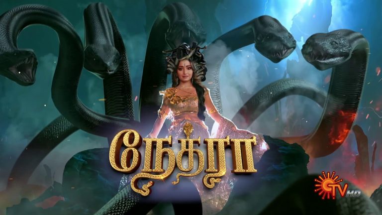 Serial Nethra on Sun TV