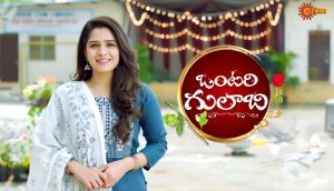 Gemini TV Latest Serial