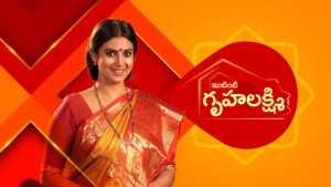 Gruhalakshmi Serial New Timing