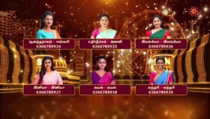 Sun TV Award Favorite Heroine List