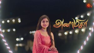 Anamika Serial Sun TV