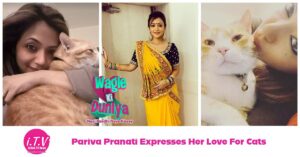 International Cat Day - Pariva Pranati