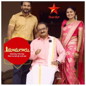 Mamagaru Serial Online Videos