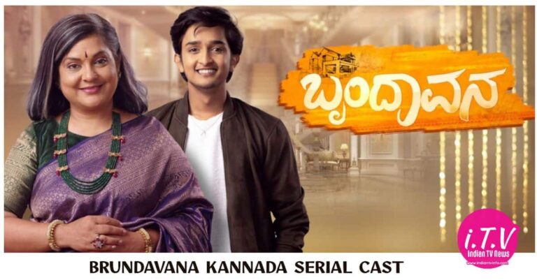 Brundavana Kannada Serial Cast