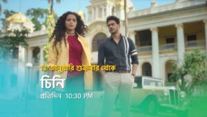 Serial Cheeni Online Episodes