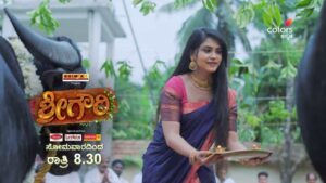 Sree Gowri Kannada Serial